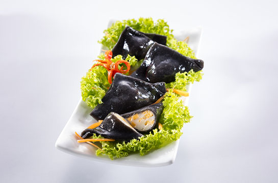 fish-dumpling-cheese-squidink